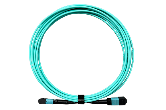 MTP / MPO Trunk Cables MTP / MPO Trunk Cables